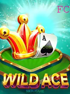 Descubra o Mundo do Jogo WildAce